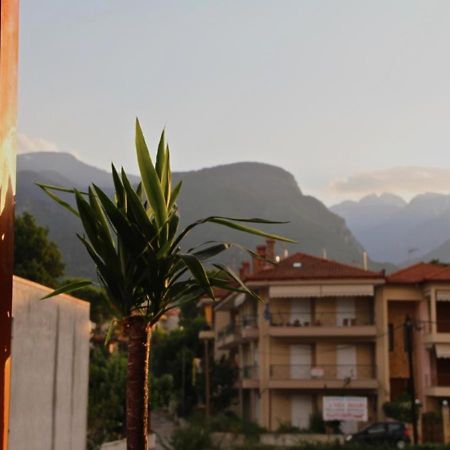 Luxurious Apartment With Sea & Mountain View Litochoro Exteriör bild